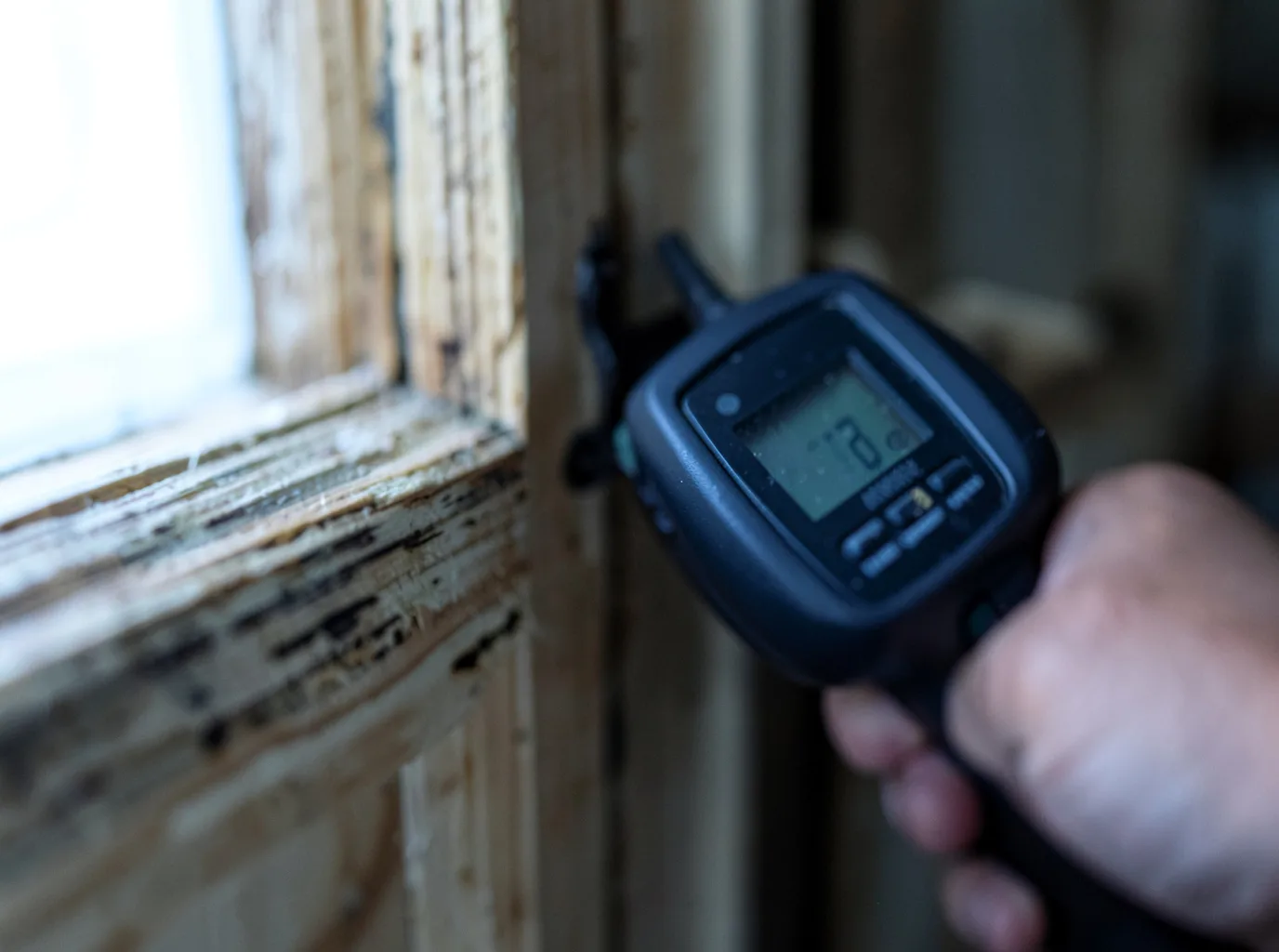Moisture Inspection And Documentation in Stevenson, AL